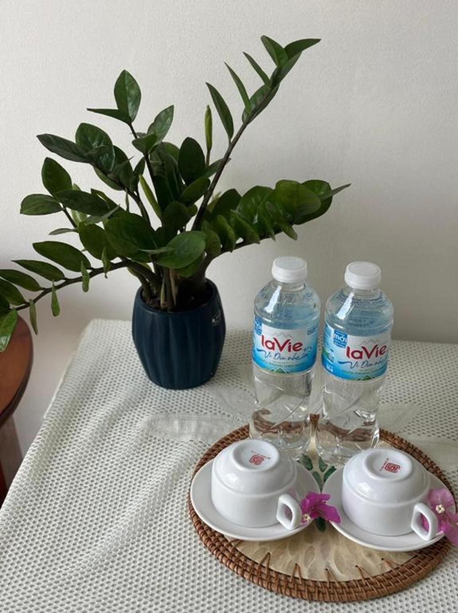Good Morning Hoi An Homestay And Hostel Екстериор снимка
